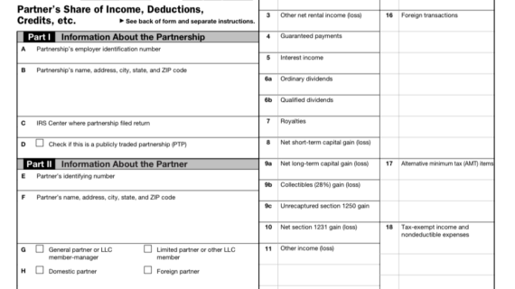 The Intricacies of Form K-1 Tax Document